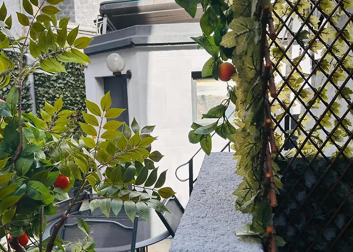 The Grey House